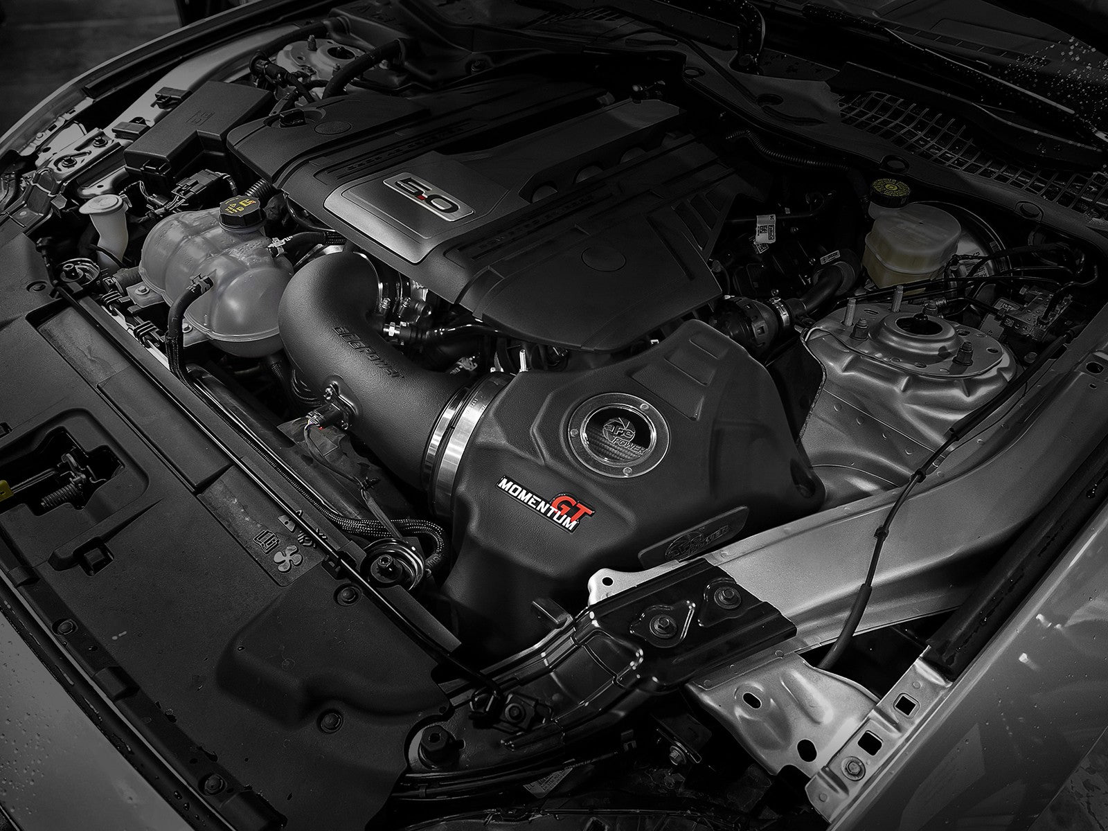 aFe POWER Momentum GT Pro Dry S Cold Air Intake System 18-21 Ford Mustang GT V8-5.0L 50-70033D